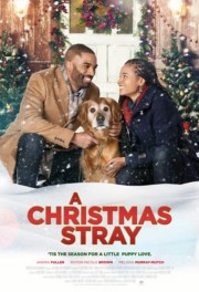 watch A Christmas Stray free online