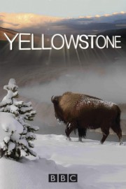 watch Yellowstone free online