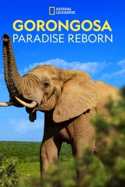 watch Gorongosa: Paradise Reborn free online