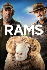 watch Rams free online