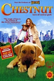 watch Chestnut: Hero of Central Park free online