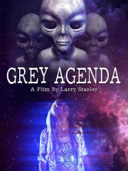 watch Grey Agenda free online