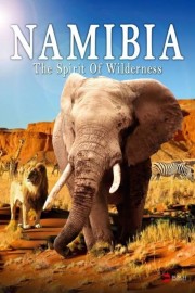 watch Namibia - The Spirit of Wilderness free online