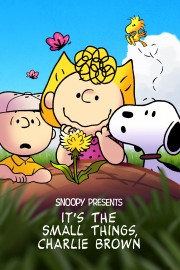 watch Snoopy Presents: It’s the Small Things, Charlie Brown free online