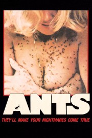 watch Ants free online