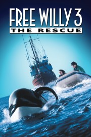 watch Free Willy 3: The Rescue free online