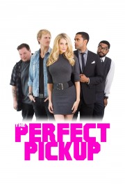 watch The Perfect Pickup free online