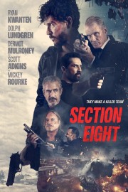 watch Section 8 free online