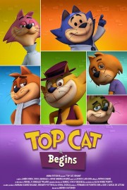 watch Top Cat Begins free online