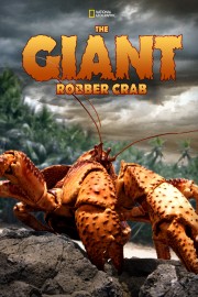 watch The Giant Robber Crab free online