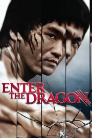 watch Enter the Dragon free online