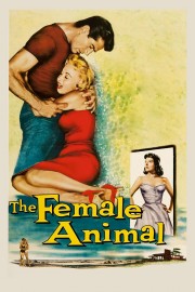 watch The Female Animal free online