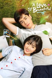 watch A Love So Beautiful free online