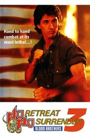 watch No Retreat, No Surrender 3: Blood Brothers free online