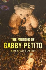 watch The Murder of Gabby Petito: What Really Happened free online