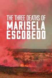 watch The Three Deaths of Marisela Escobedo free online