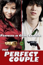 watch The Perfect Couple free online