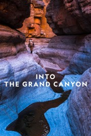 watch Into the Grand Canyon free online