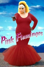 watch Pink Flamingos free online