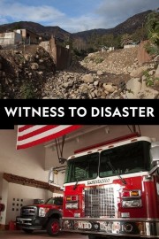 watch Witness to Disaster free online