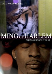 watch Ming of Harlem: Twenty One Storeys in the Air free online