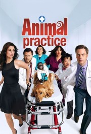 watch Animal Practice free online