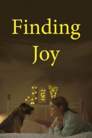 watch Finding Joy free online