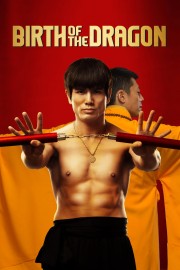 watch Birth of the Dragon free online