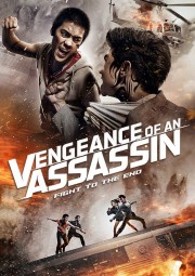 watch Vengeance of an Assassin free online