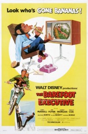 watch The Barefoot Executive free online