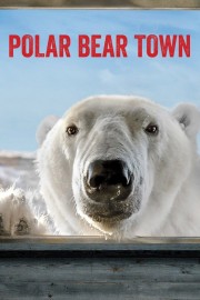 watch Polar Bear Town free online