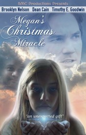 watch Megan's Christmas Miracle free online