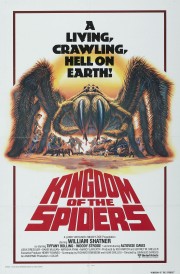 watch Kingdom of the Spiders free online