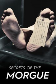 watch Secrets of the Morgue free online