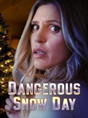 watch Dangerous Snow Day free online