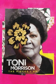 watch Toni Morrison: The Pieces I Am free online