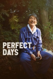 watch Perfect Days free online