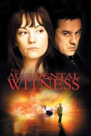 watch The Accidental Witness free online