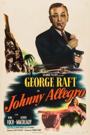 watch Johnny Allegro free online