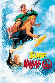 watch Surf Ninjas free online