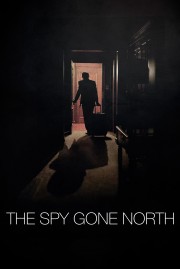 watch The Spy Gone North free online