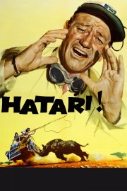 watch Hatari! free online