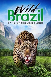 watch Wild Brazil free online