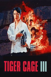 watch Tiger Cage 3 free online