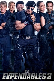 watch The Expendables 3 free online