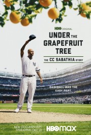 watch Under The Grapefruit Tree: The CC Sabathia Story free online