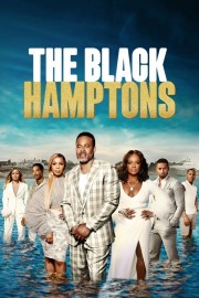 watch The Black Hamptons free online