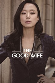 watch The Good Wife free online