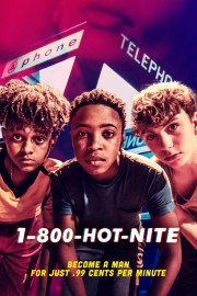 watch 1-800-HOT-NITE free online