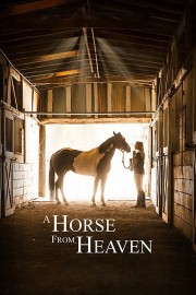 watch A Horse from Heaven free online